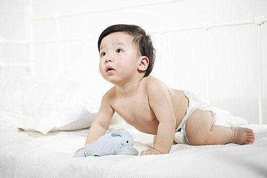 试管婴儿移植西柚容易着床